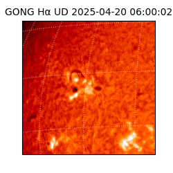 gong - 2025-04-20T06:00:02