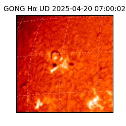 gong - 2025-04-20T07:00:02