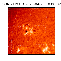 gong - 2025-04-20T10:00:02