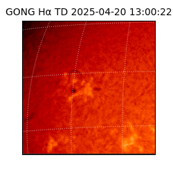 gong - 2025-04-20T13:00:22