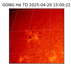 gong - 2025-04-20T15:00:22