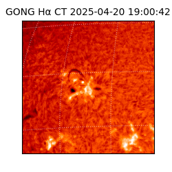 gong - 2025-04-20T19:00:42