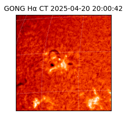 gong - 2025-04-20T20:00:42