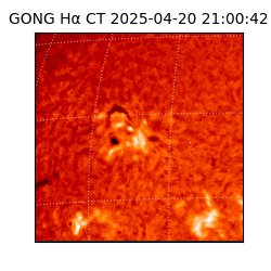 gong - 2025-04-20T21:00:42