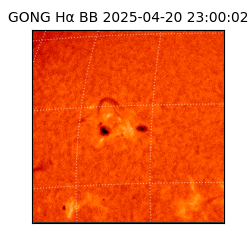 gong - 2025-04-20T23:00:02