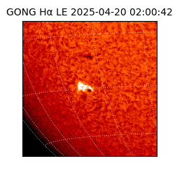 gong - 2025-04-20T02:00:42