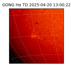 gong - 2025-04-20T13:00:22
