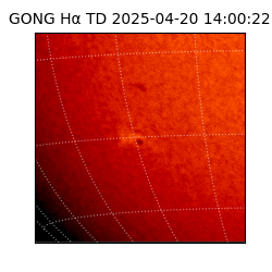 gong - 2025-04-20T14:00:22