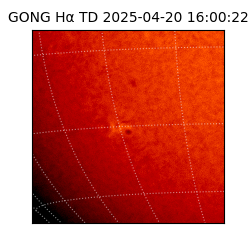 gong - 2025-04-20T16:00:22