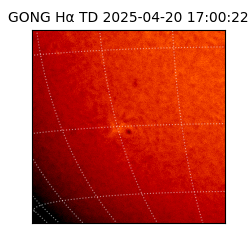gong - 2025-04-20T17:00:22