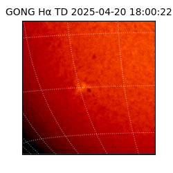 gong - 2025-04-20T18:00:22