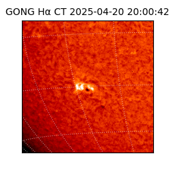 gong - 2025-04-20T20:00:42