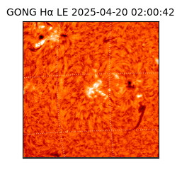 gong - 2025-04-20T02:00:42
