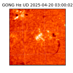 gong - 2025-04-20T03:00:02