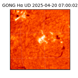 gong - 2025-04-20T07:00:02