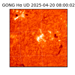 gong - 2025-04-20T08:00:02