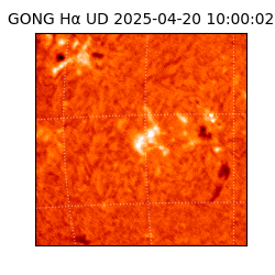 gong - 2025-04-20T10:00:02