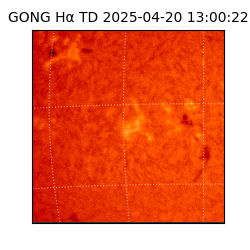 gong - 2025-04-20T13:00:22