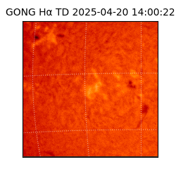 gong - 2025-04-20T14:00:22