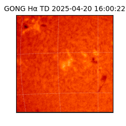 gong - 2025-04-20T16:00:22