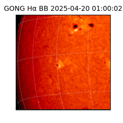 gong - 2025-04-20T01:00:02