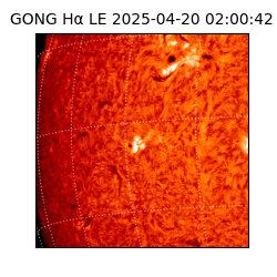 gong - 2025-04-20T02:00:42