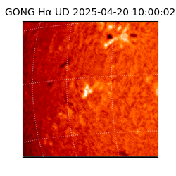 gong - 2025-04-20T10:00:02