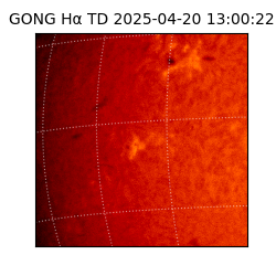 gong - 2025-04-20T13:00:22