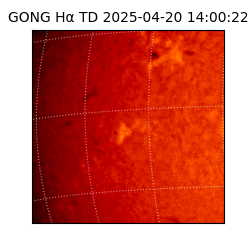 gong - 2025-04-20T14:00:22