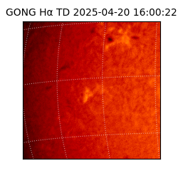 gong - 2025-04-20T16:00:22