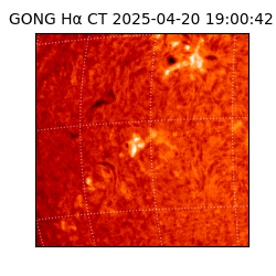 gong - 2025-04-20T19:00:42