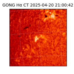 gong - 2025-04-20T21:00:42