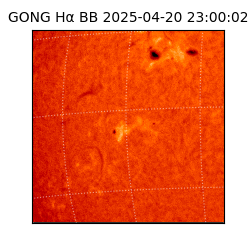 gong - 2025-04-20T23:00:02