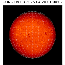 gong - 2025-04-20T01:00:02