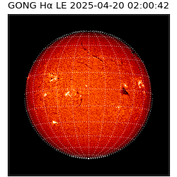 gong - 2025-04-20T02:00:42