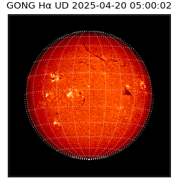 gong - 2025-04-20T05:00:02