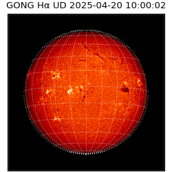 gong - 2025-04-20T10:00:02