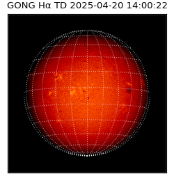 gong - 2025-04-20T14:00:22