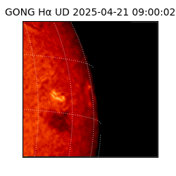 gong - 2025-04-21T09:00:02
