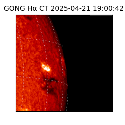 gong - 2025-04-21T19:00:42