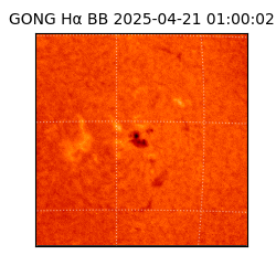 gong - 2025-04-21T01:00:02