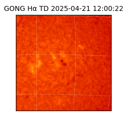 gong - 2025-04-21T12:00:22