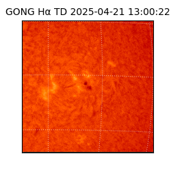 gong - 2025-04-21T13:00:22