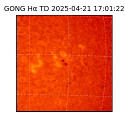 gong - 2025-04-21T17:01:22