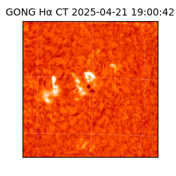 gong - 2025-04-21T19:00:42