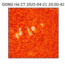 gong - 2025-04-21T20:00:42