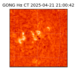 gong - 2025-04-21T21:00:42