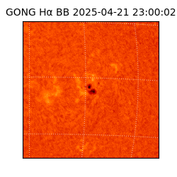 gong - 2025-04-21T23:00:02