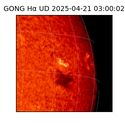 gong - 2025-04-21T03:00:02