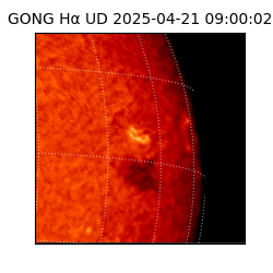 gong - 2025-04-21T09:00:02